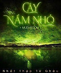 Cây Nấm Nhỏ