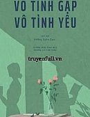 Vô Tình Gặp Vô Tình Yêu